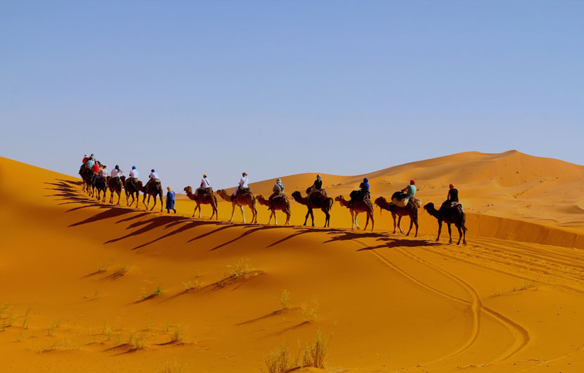 Camel Trekking 
